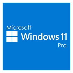 Windows 11 Pro, OEM 64 bit - Global